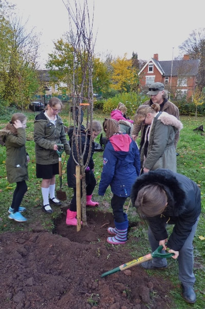 Planting the Community Orchard - Mansfield Woodhouse Millennium Green